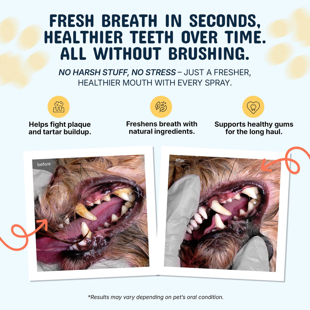 Pets Are Kids Too dog mouth spray usage demonstration for daily care