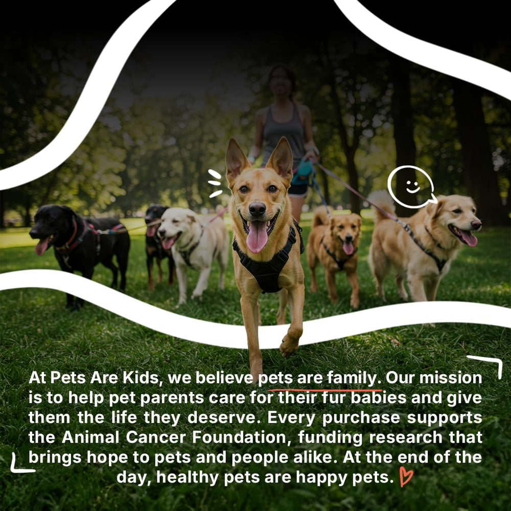 Donation to pets with cancer highlighted by Pets Are Kids Too.