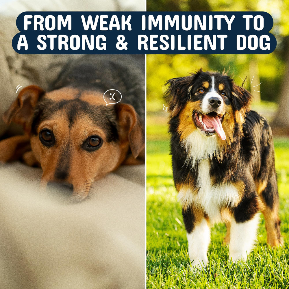 Pets Are Kids Too Immune-Spinal Support bottle closeup for seasonal resilience