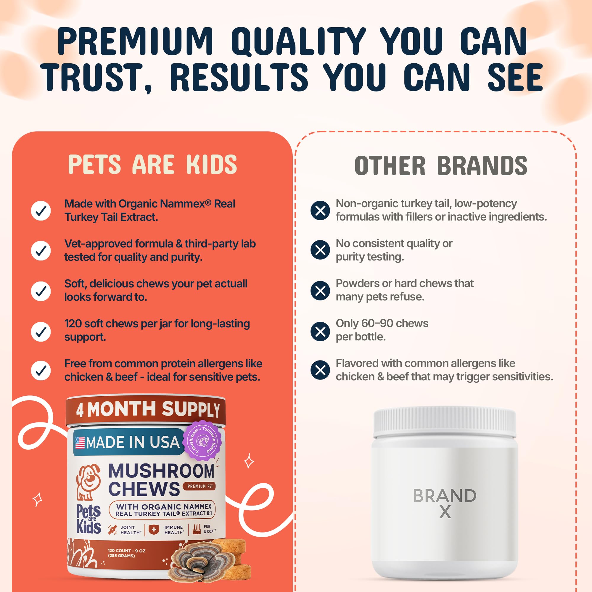 Pets Are Kids Too Joint Mobility chews closeup for active dogs