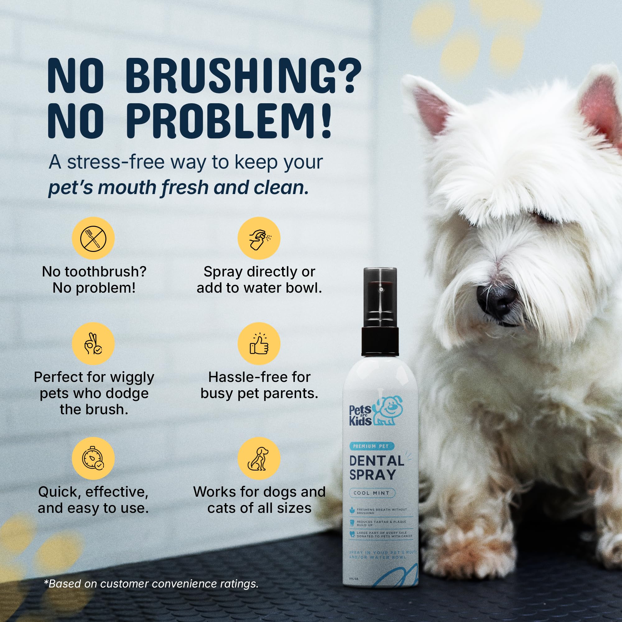 Pets Are Kids Too vet-approved label for pet dental spray
