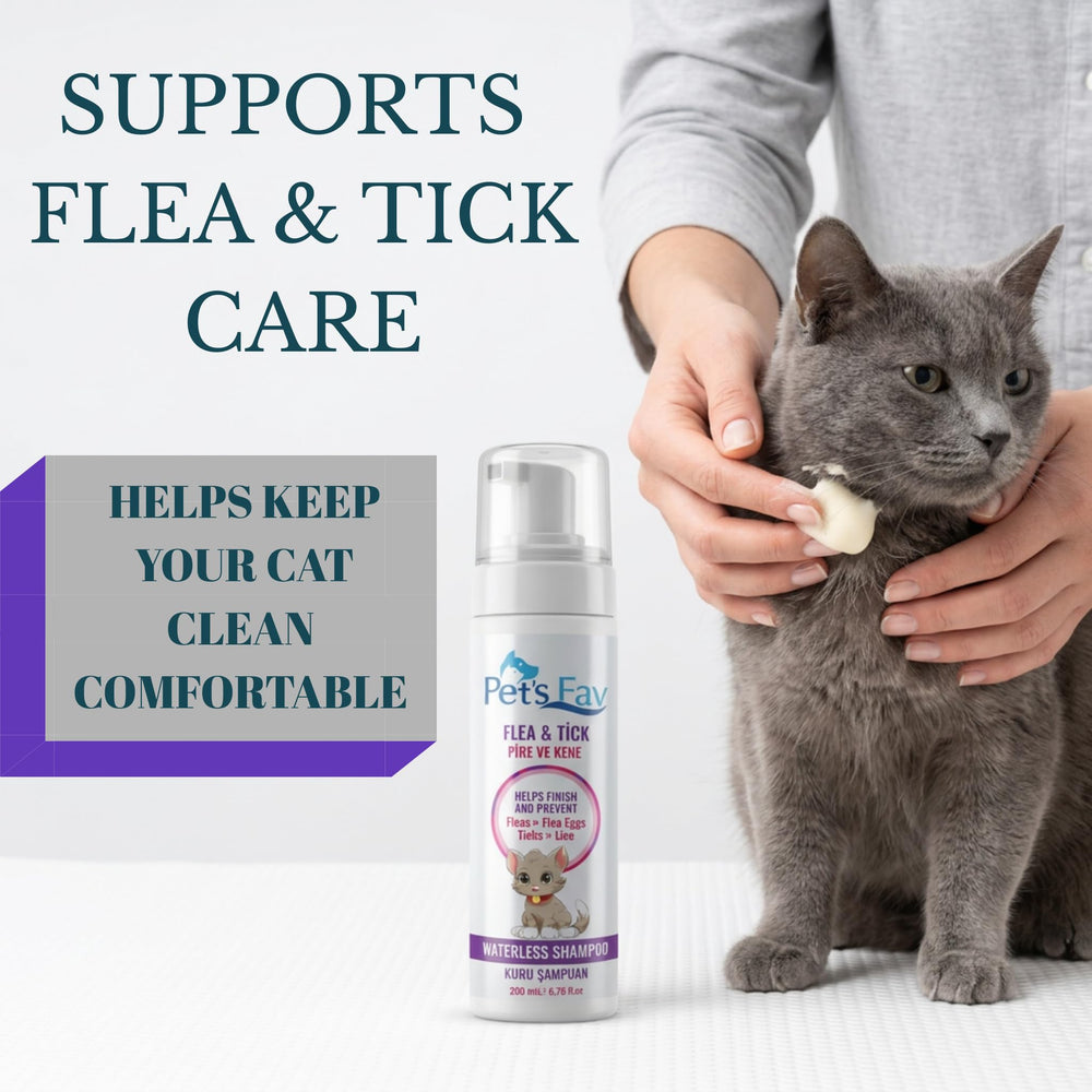 Pet's Fav cat shampoo leaves a long-lasting fragrance on fur.