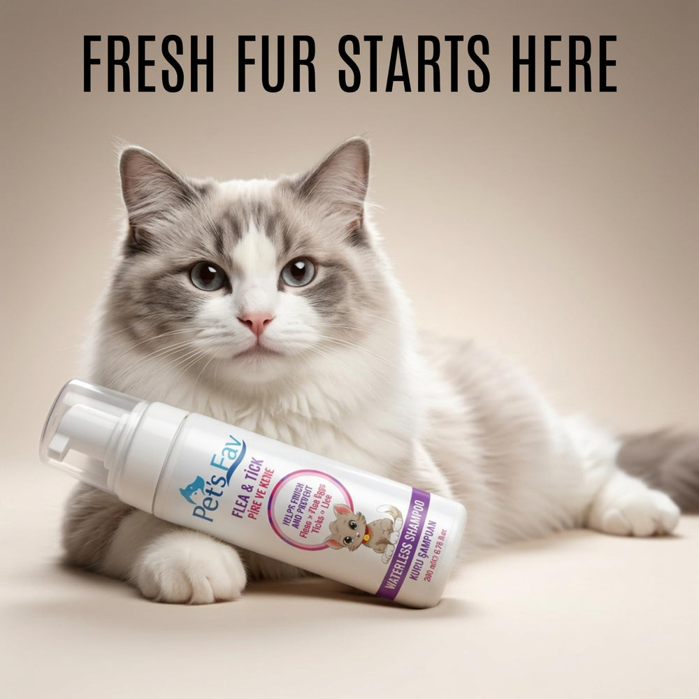 Pet's Fav compact coat cleanse for quick dry grooming.