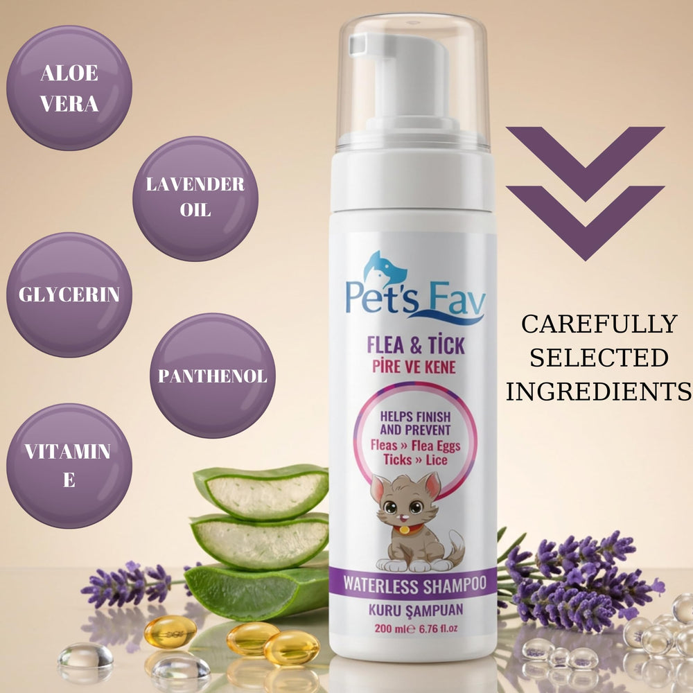 Pet's Fav waterless shampoo foam applied for quick coat cleansing.