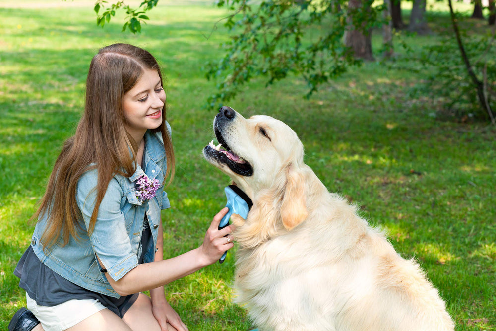 Pets First ergonomic brush for pets, providing a comfortable grooming experience.