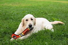 Close-up of the squeaker in the NHL Flyers stick toy for pets.