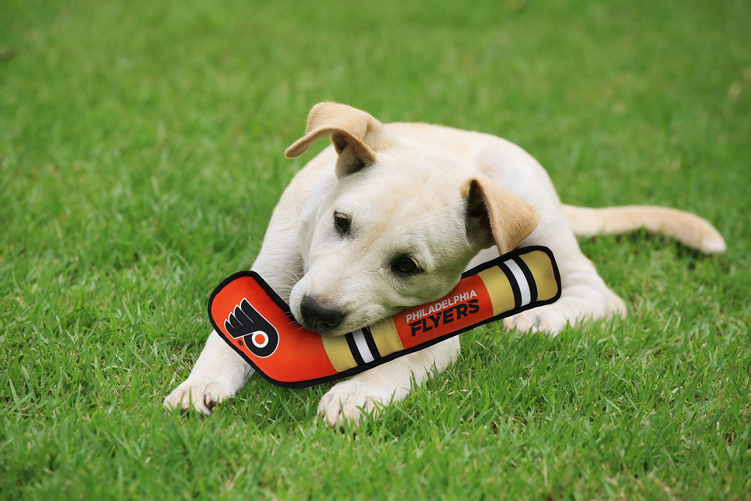 Dog tugging action with Flyers stick toy during play.