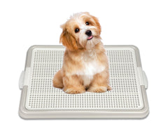 Pets-N-Me gray pee pad holder top view with secure snap locks.
