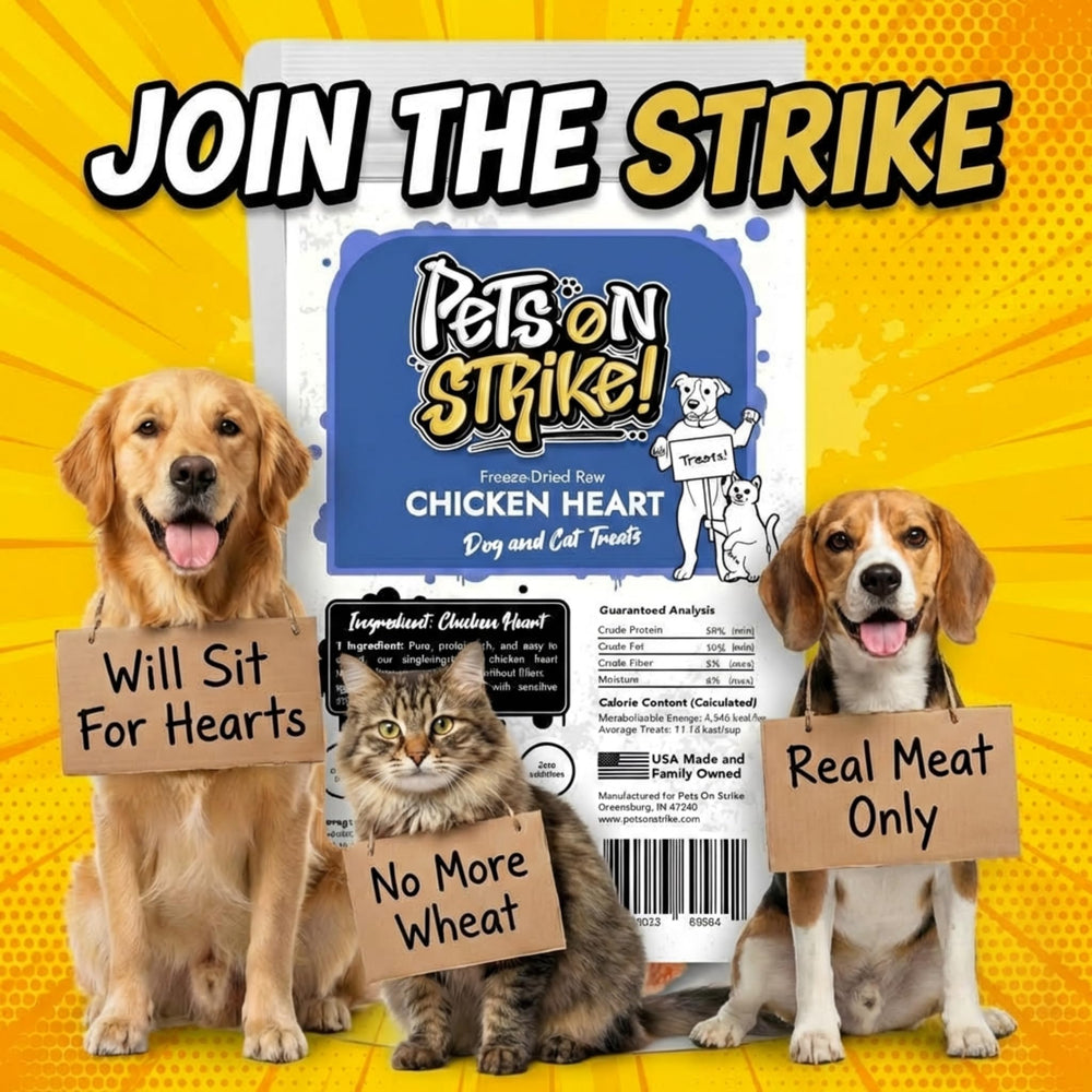 Freeze-dried texture of PETS ON STRIKE hearts implies crisp training rewards