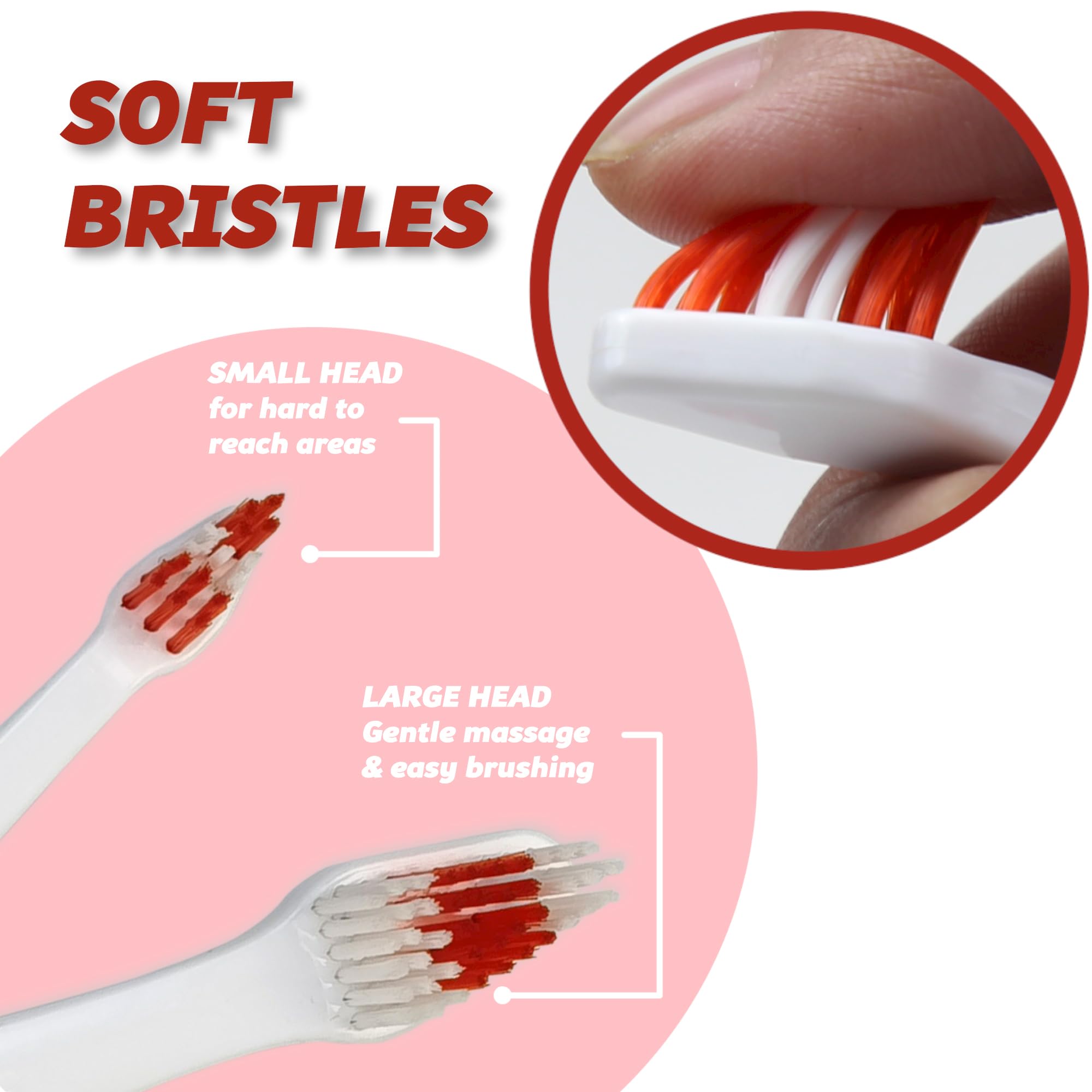 Pets & Pupps complete oral care brush reaches all mouth areas.