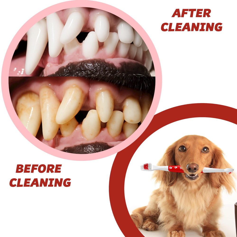 Pets & Pupps easy-grip toothbrush supports daily brushing routines