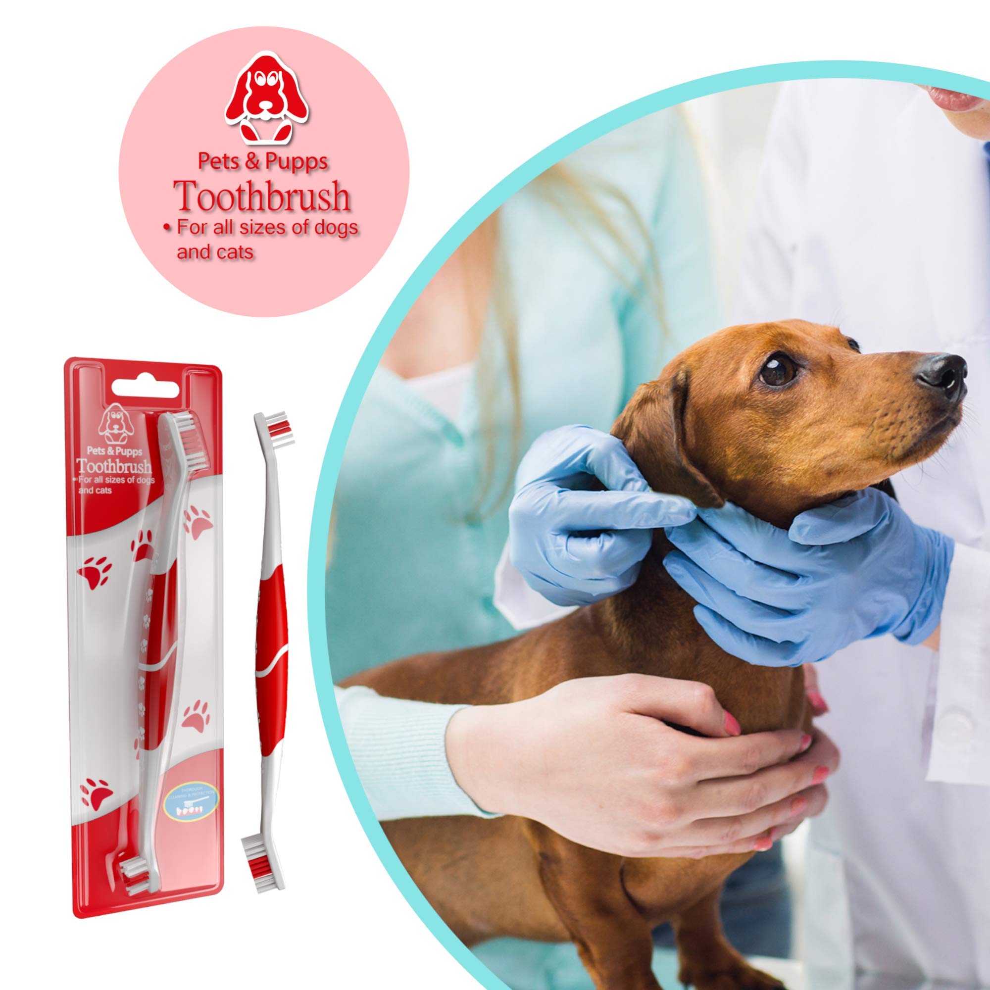 Pets & Pupps gum-safe-brush for sensitive pets enables comfortable brushing.