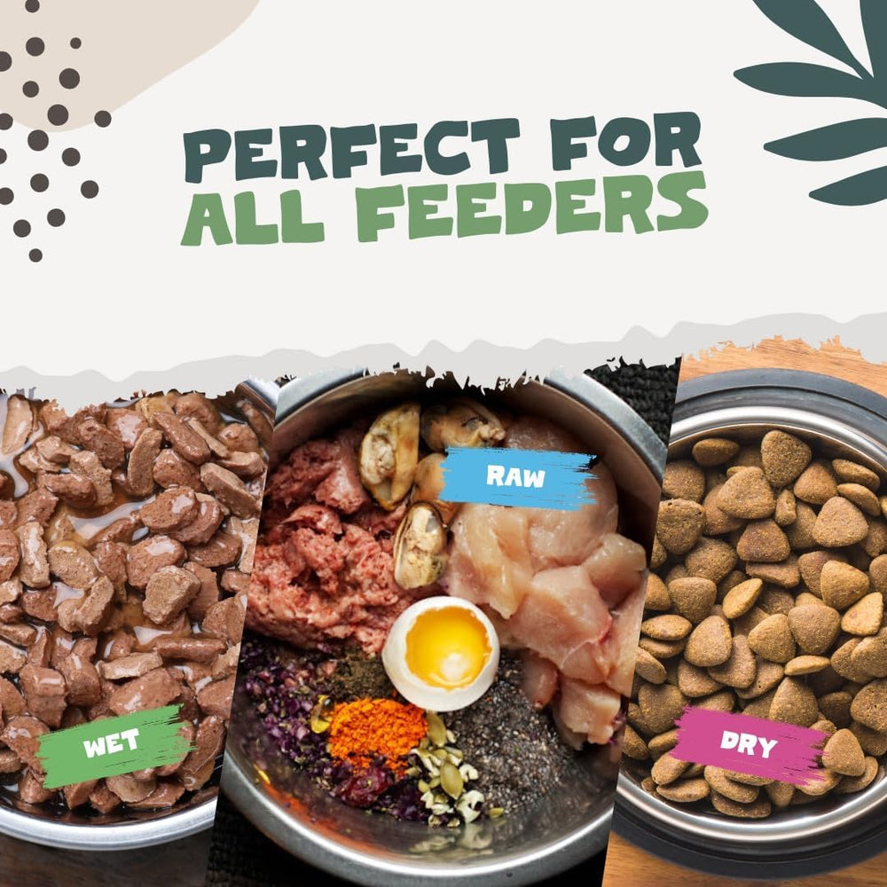 Pets Purest Salmon Oil may support brain health in aging pets.