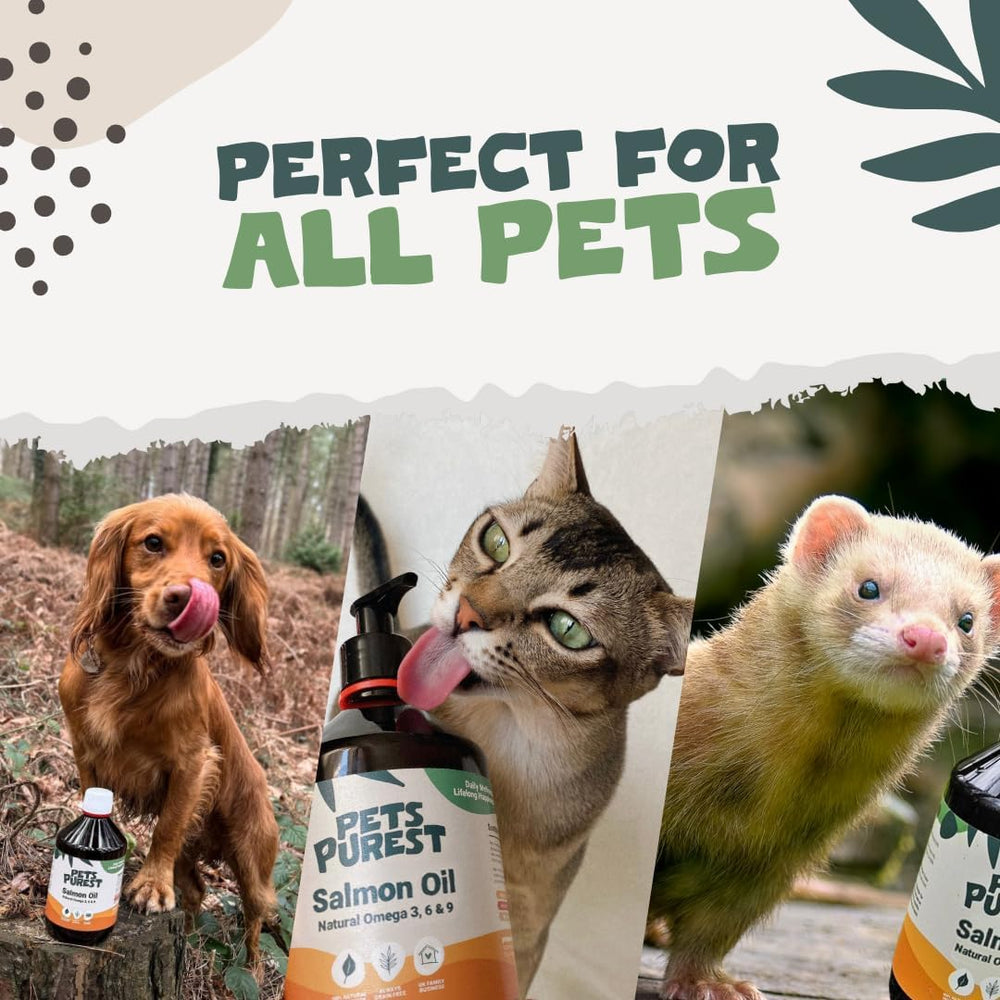 Pets Purest Salmon Oil joint support may help comfortable movement during activity.