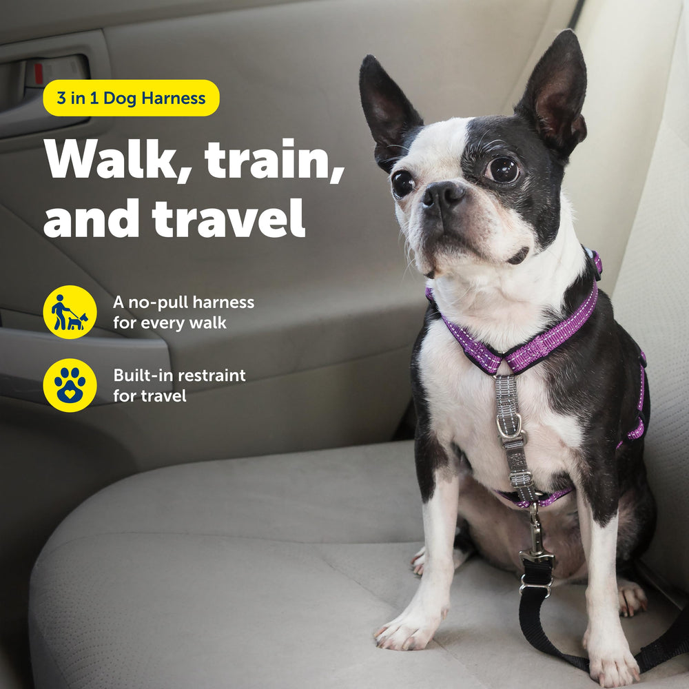 PetSafe 3-in-1 harness plum XS back clip for standard walking