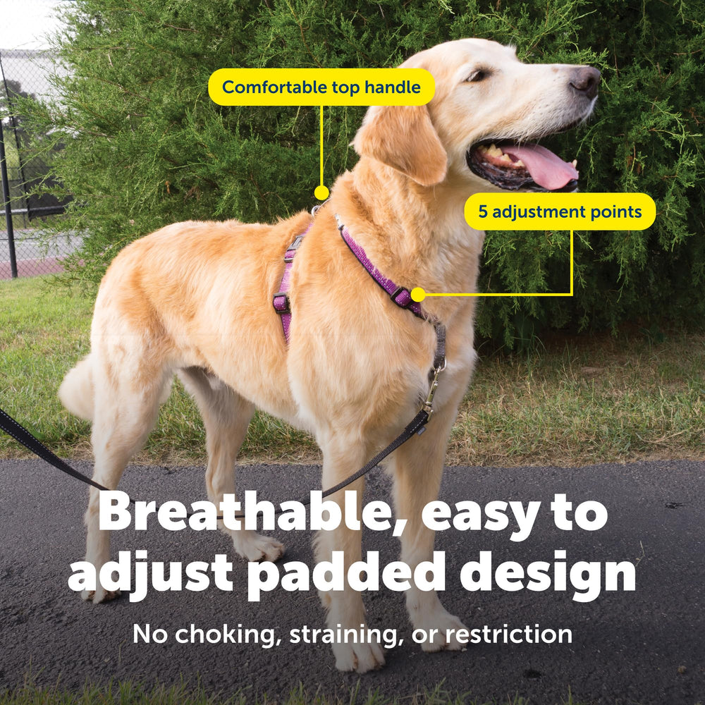 PetSafe harness top handle for quick control during walks