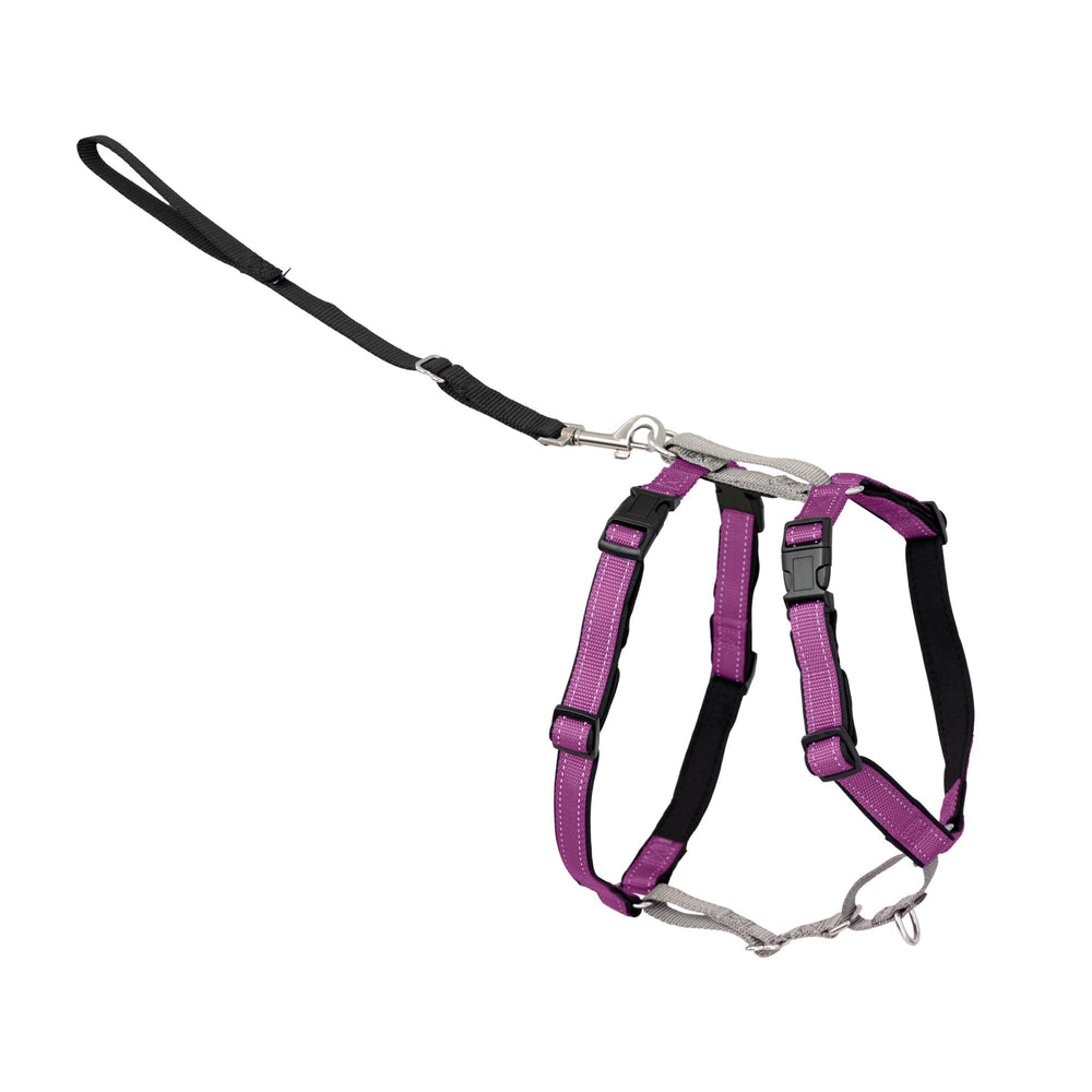 PetSafe 3-in-1 harness with front-chest attachment reduces pulling during walks