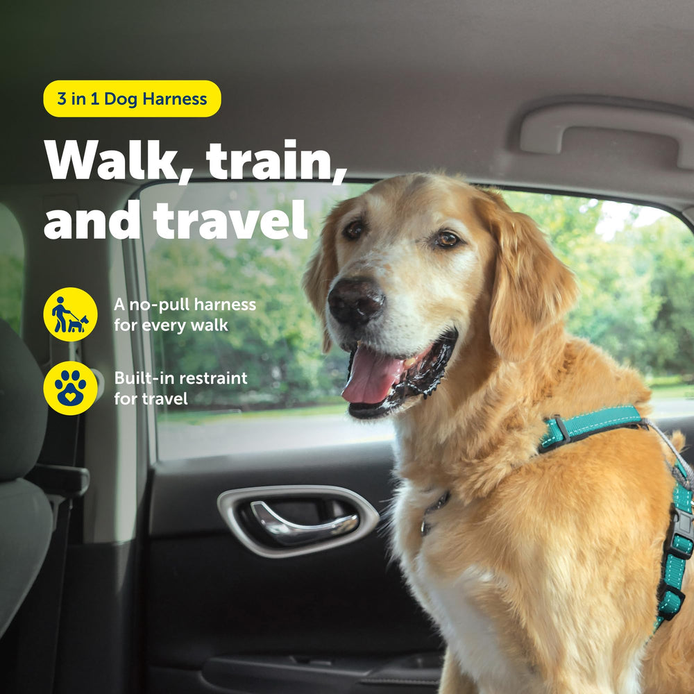 PetSafe harness seat belt loop doubles as car restraint for safer travel.