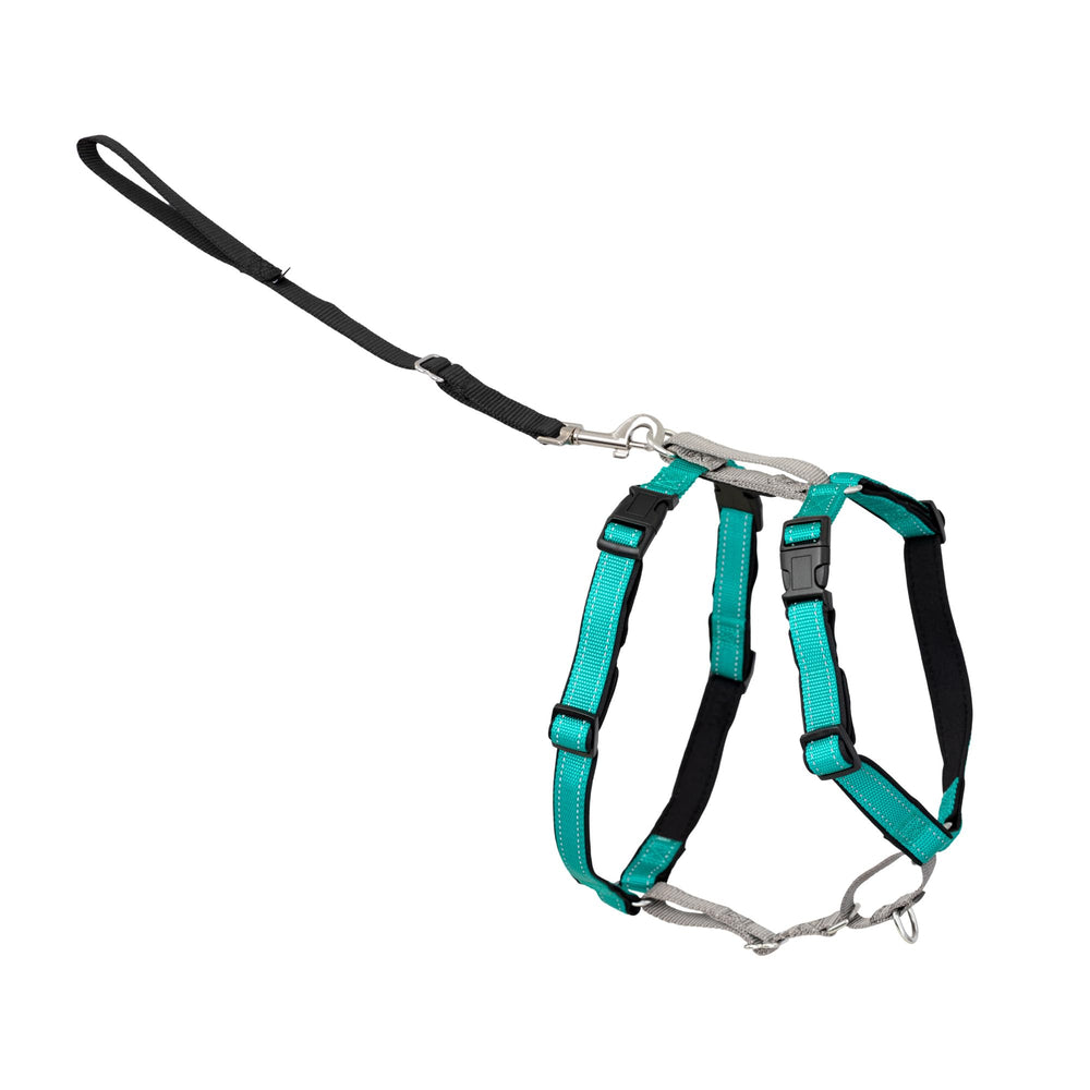 PetSafe 3-in-1 harness front clip for gentle control during walks