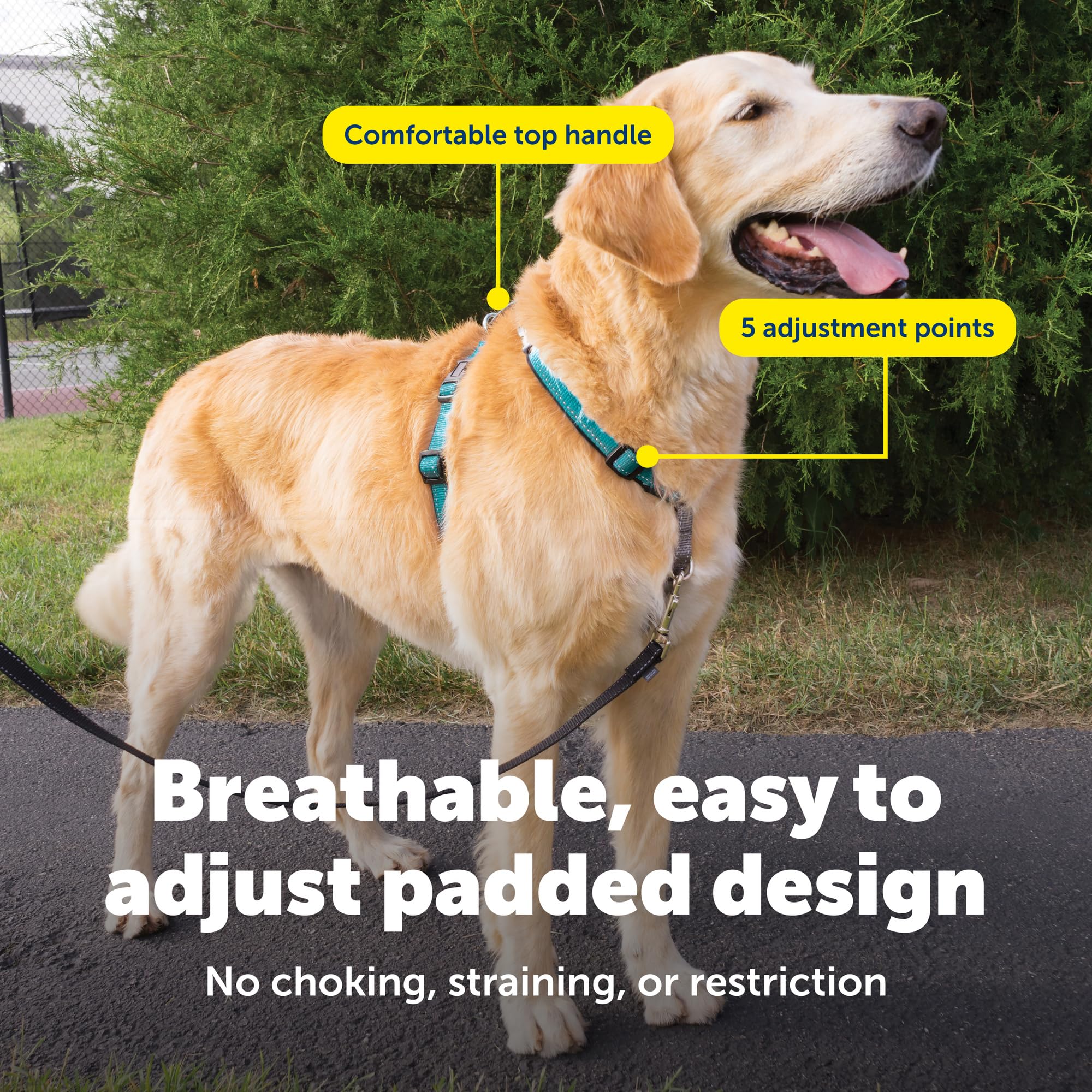 PetSafe harness top handle for quick control during training.