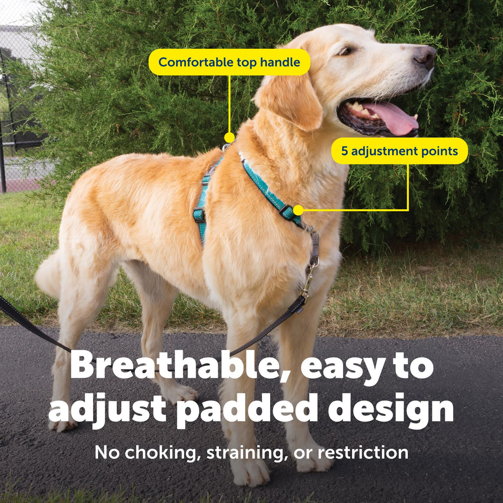 PetSafe harness top handle for quick control during training.