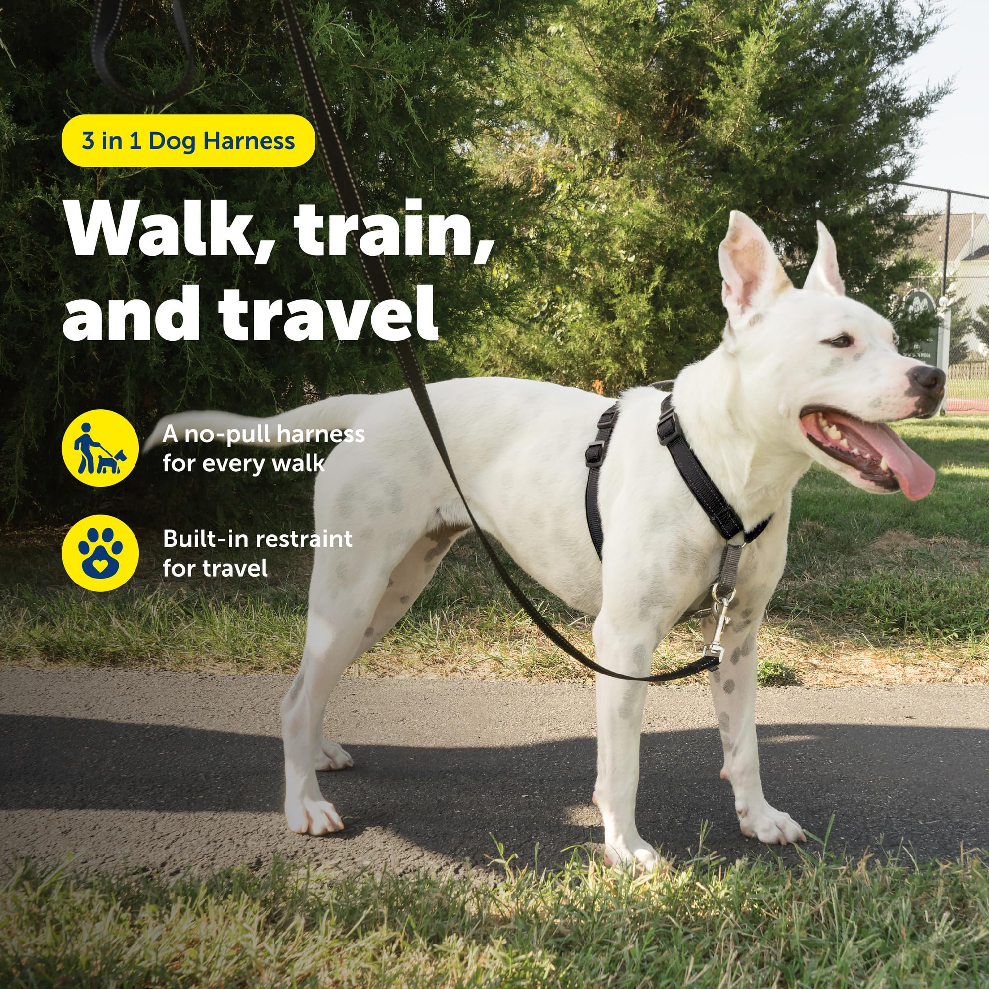 PetSafe 3-in-1 harness back attachment ideal for running with your dog