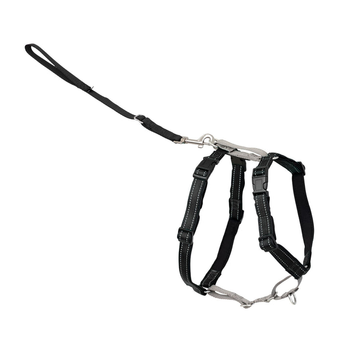 PetSafe 3 in 1 harness back clip provides comfortable no-pull walking
