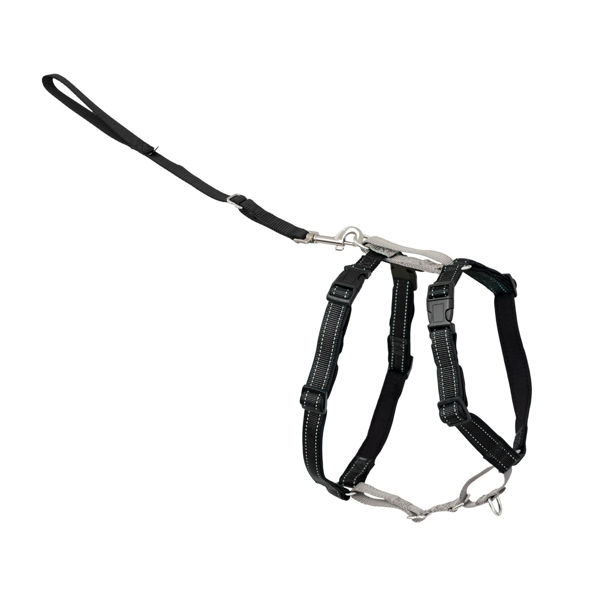 PetSafe 3 in 1 harness back clip provides comfortable no-pull walking