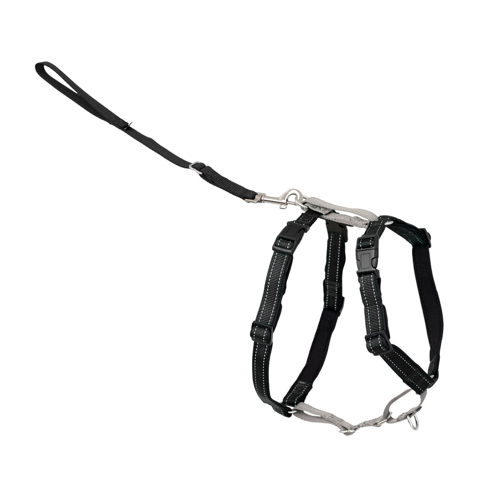 PetSafe 3-in-1 harness front chest attachment redirects attention during walks