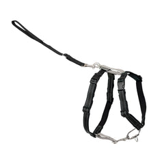 PetSafe 3-in-1 harness front chest attachment redirects attention during walks