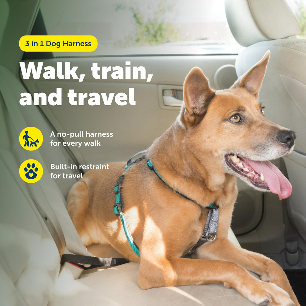 PetSafe 3 in 1 harness front clip for training and gentle guidance