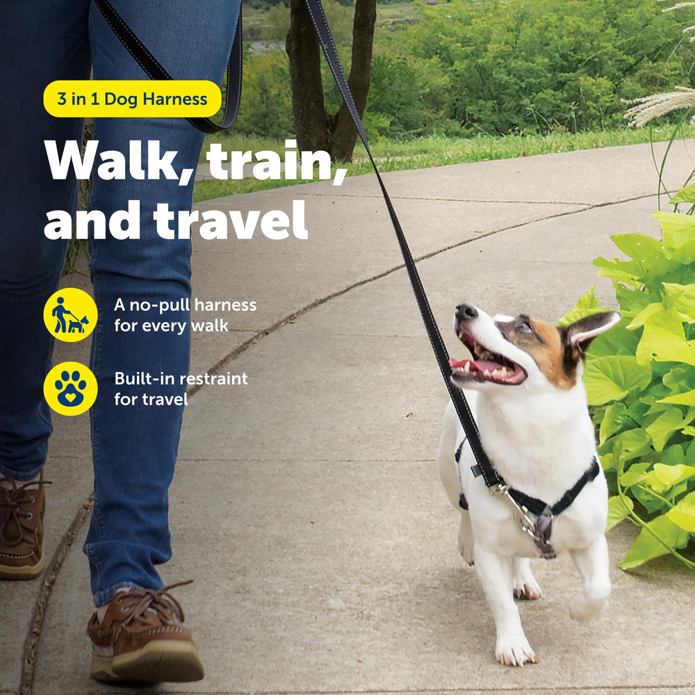 PetSafe 3 in 1 harness front clip supports gentle no-pull training