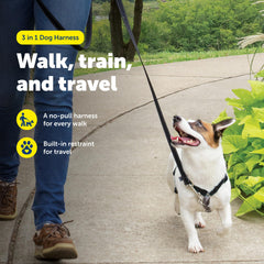 PetSafe 3 in 1 harness front clip supports gentle no-pull training