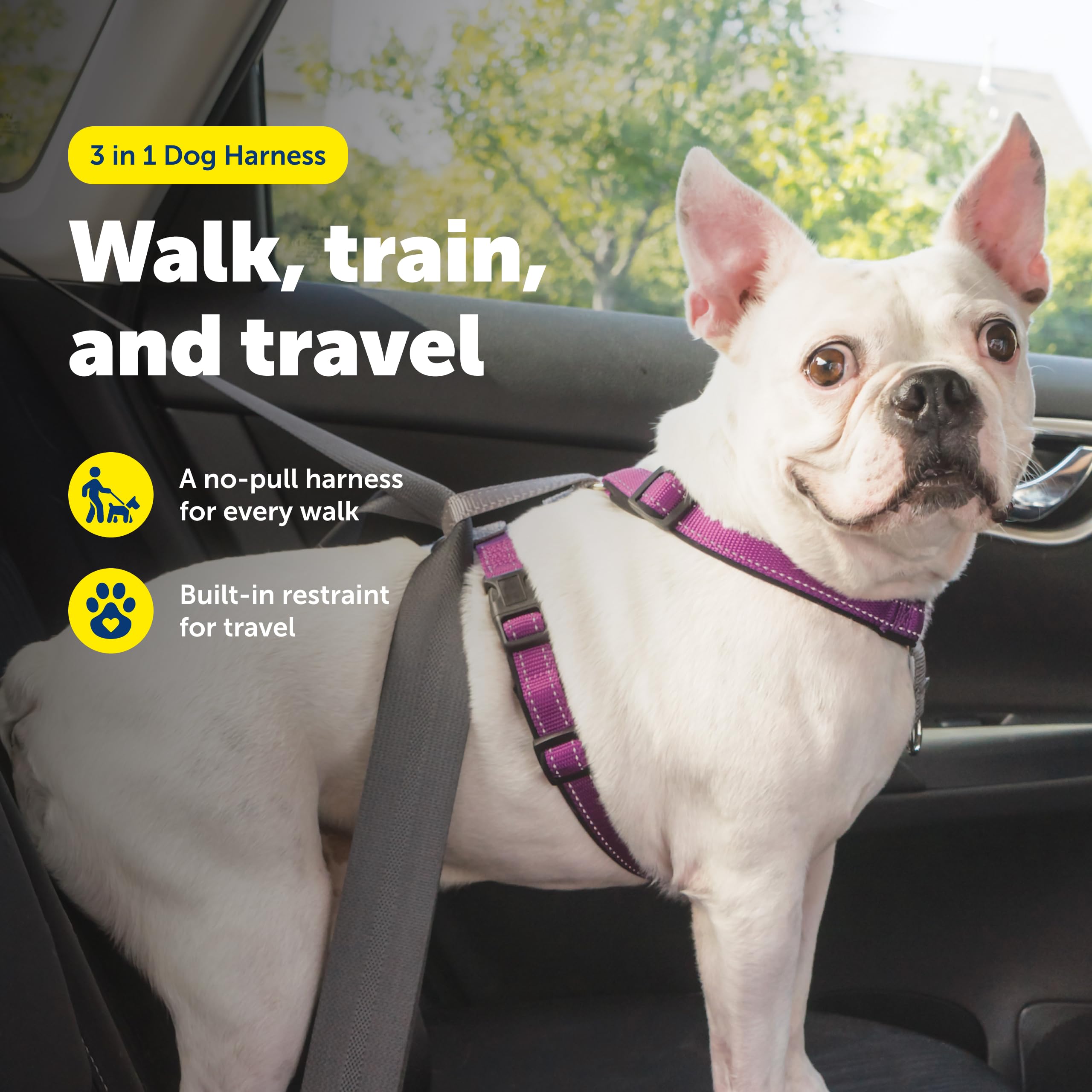 PetSafe 3 in 1 harness back clip ideal for standard leash walking.