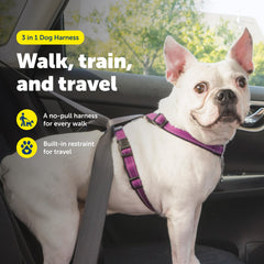 PetSafe 3 in 1 harness back clip ideal for standard leash walking.