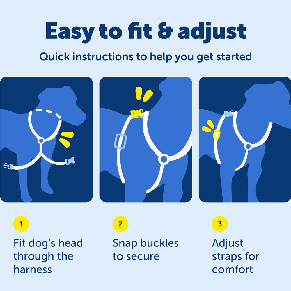 PetSafe plum harness with five adjustment points for a custom fit.