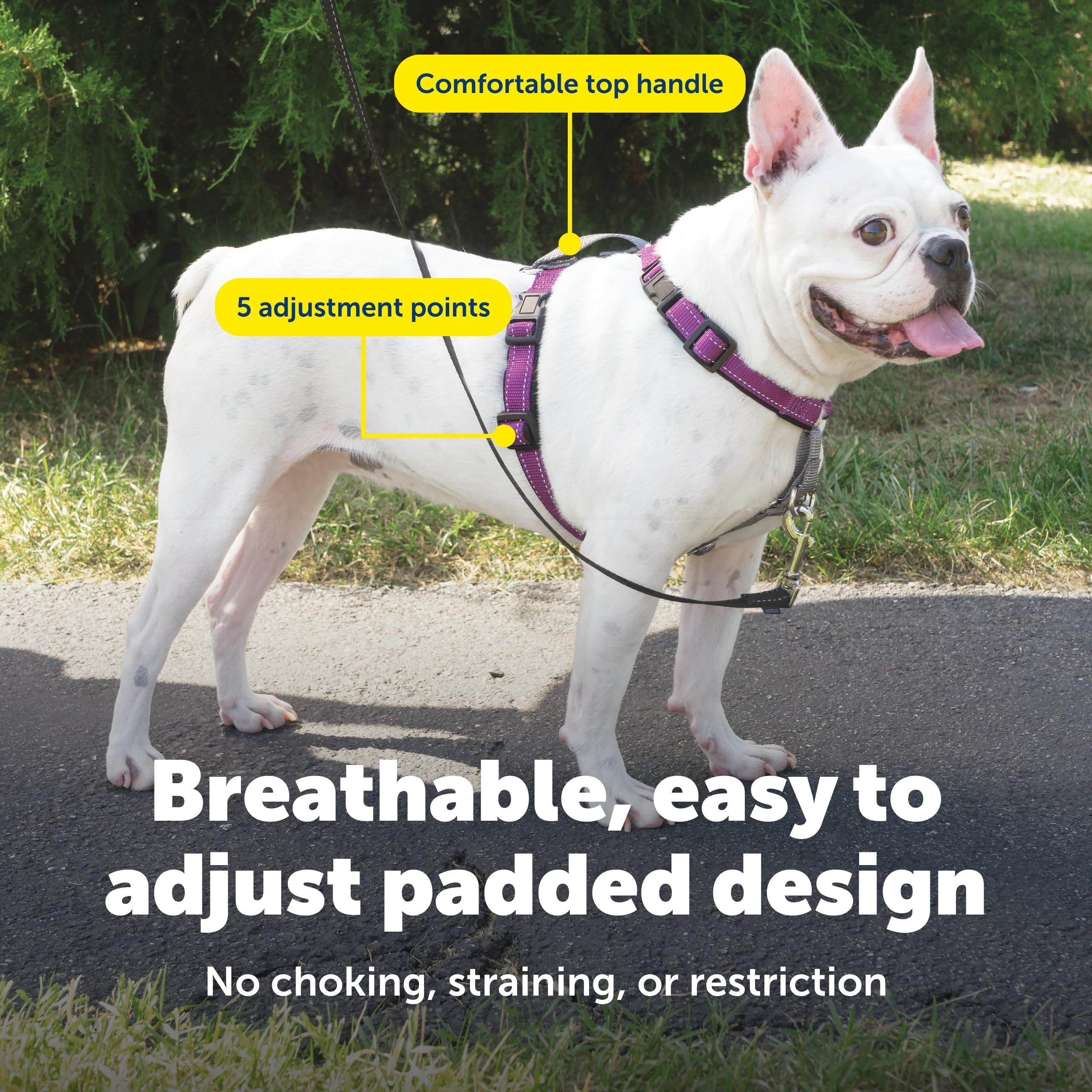 PetSafe 3 in 1 harness seatbelt loop keeps dogs secure in the car.