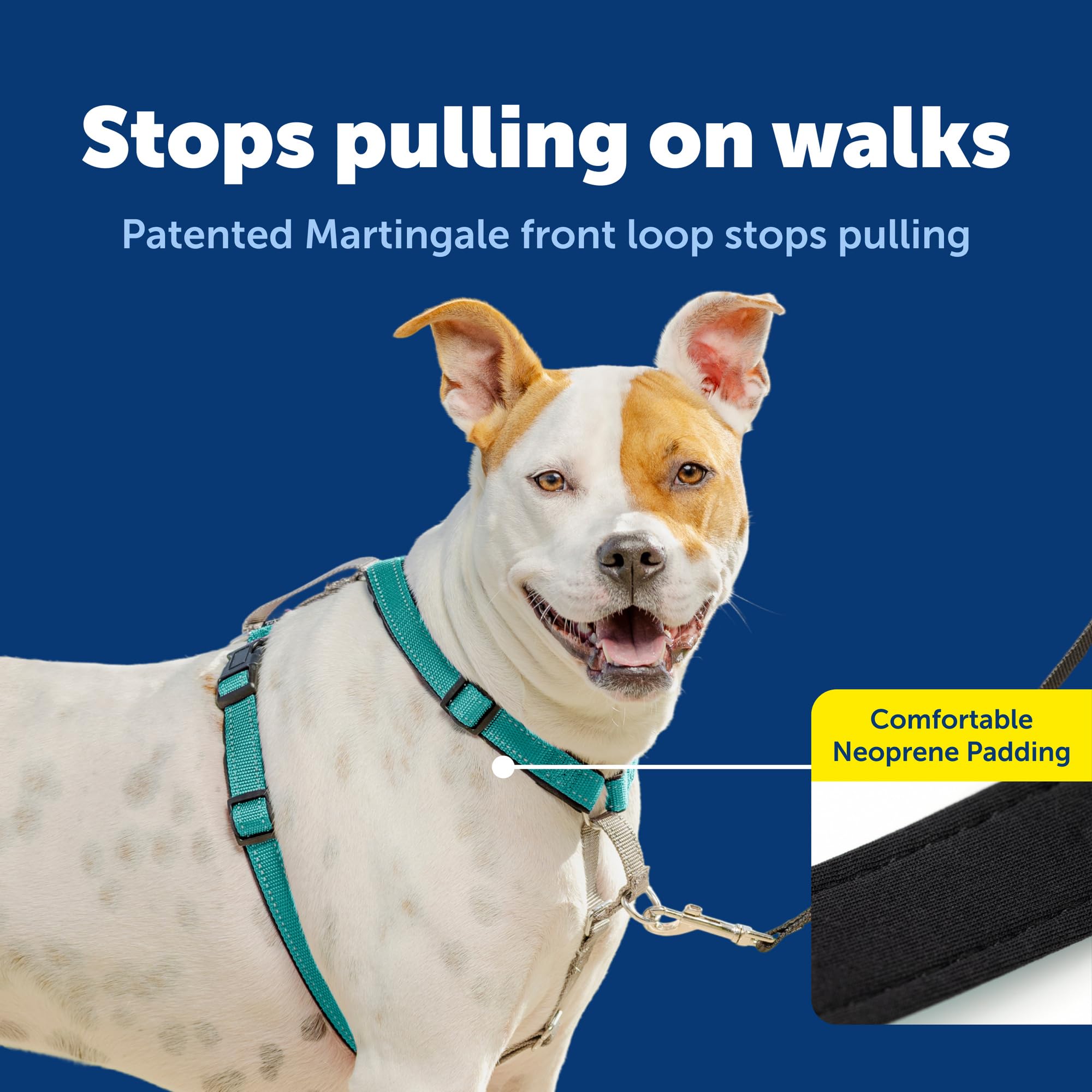 PetSafe 3 in 1 harness seat belt loop for car safety in back seat