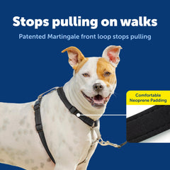 PetSafe 3-in-1 harness seatbelt loop serves as a car restraint for rides