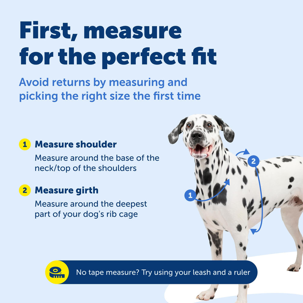 PetSafe 3 in 1 harness soft padding for comfort during runs
