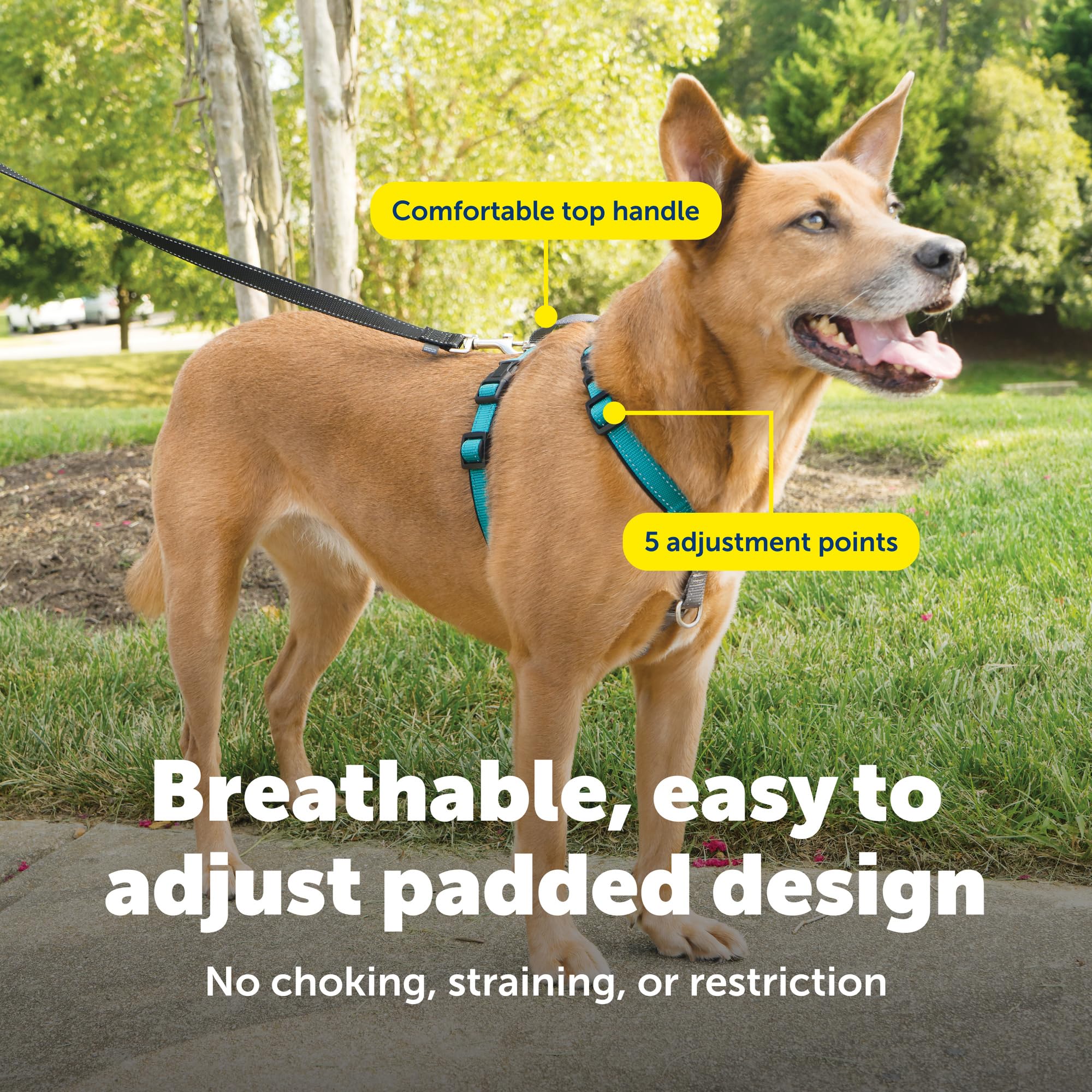 PetSafe 3 in 1 harness top handle for quick control