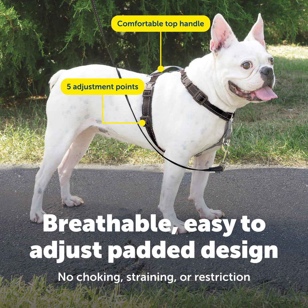 PetSafe 3 in 1 harness top handle for quick, controlled handling