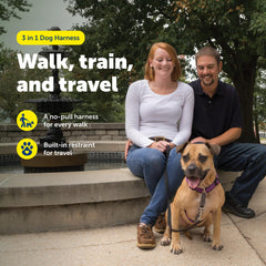 PetSafe 3-in-1 harness front clip for no-pull training.