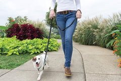 PetSafe 3-in-1 harness front-clip guides gentle steering for no-pull training