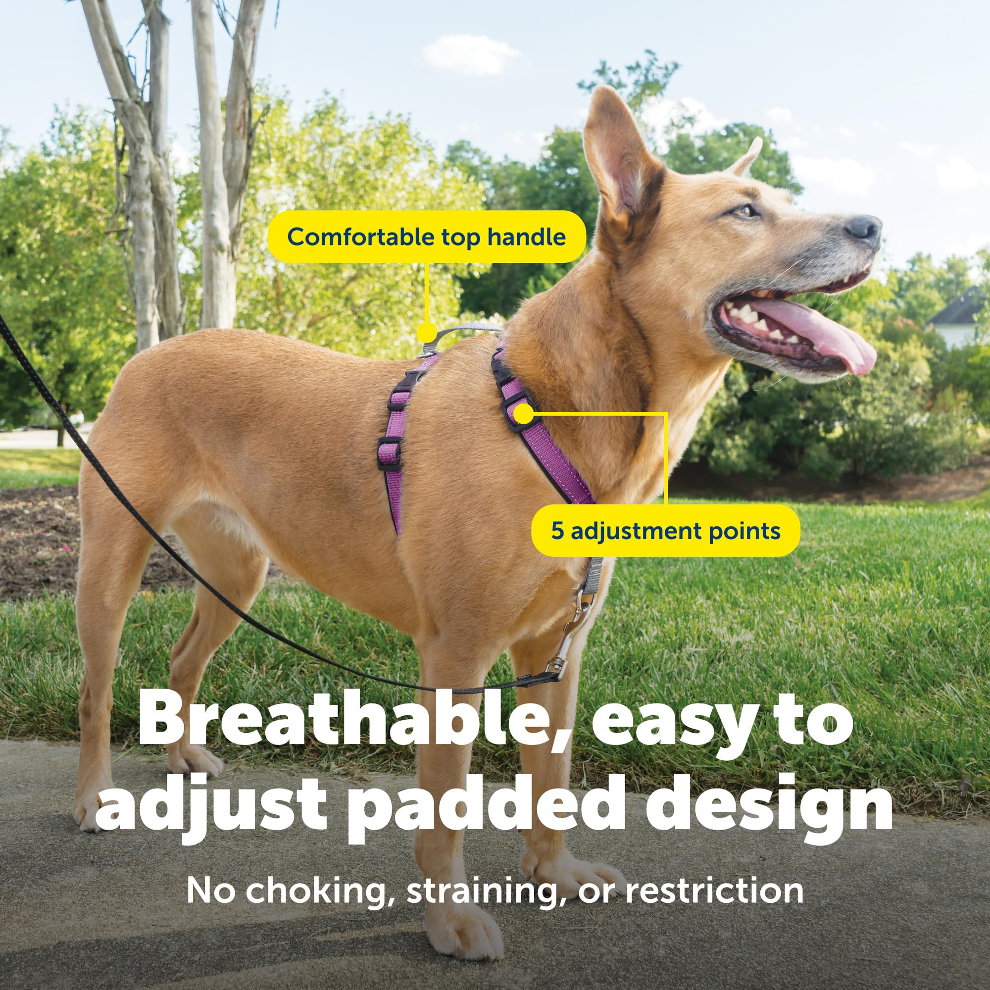 PetSafe 3-in-1 harness top handle for quick control.