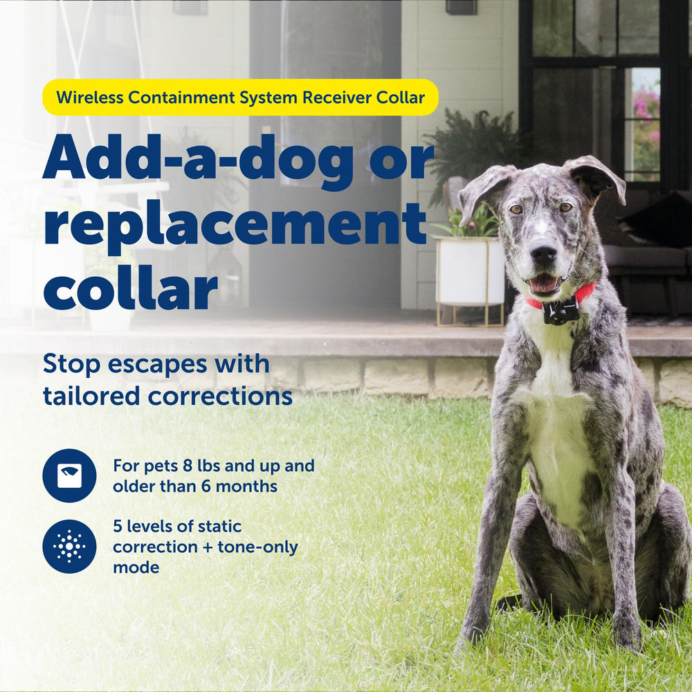 PetSafe Add-A-Dog collar with long battery life for extended outings.