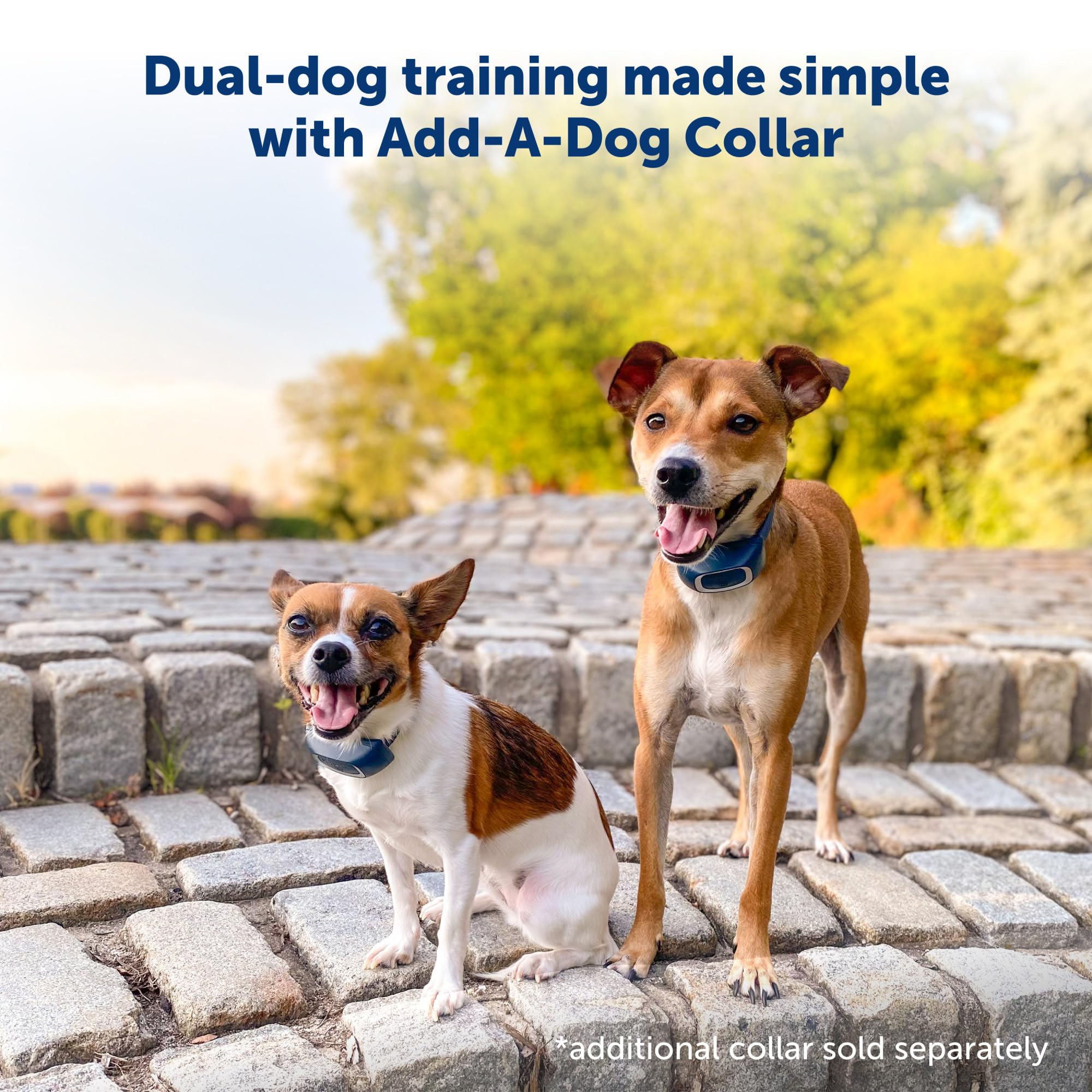 PetSafe adjustable neck collar fits dogs 8 lb and up.