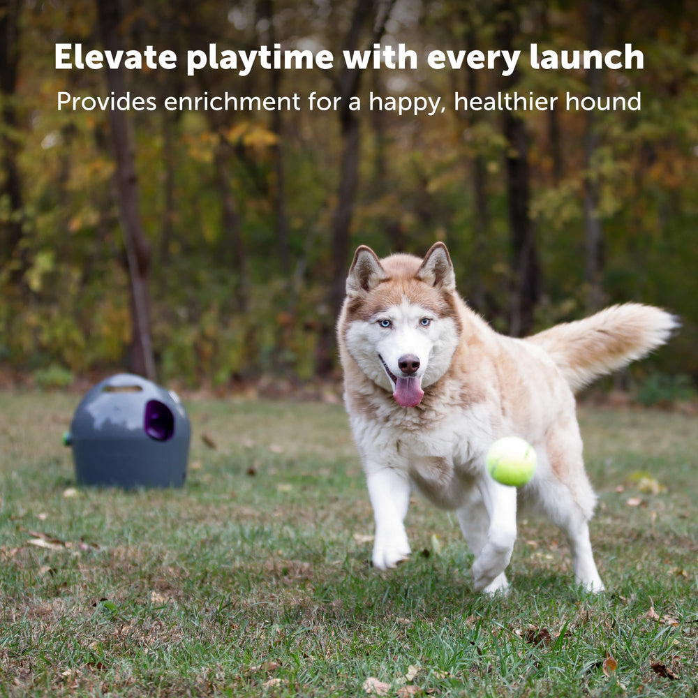 PetSafe Automatic Ball Launcher in action launching a tennis ball.