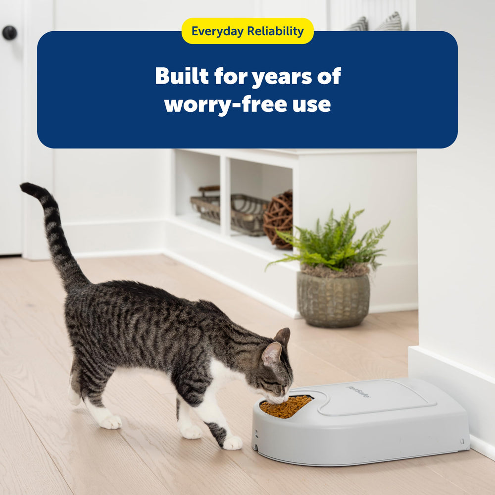 PetSafe feeder 'feed now' button enabling an extra meal option