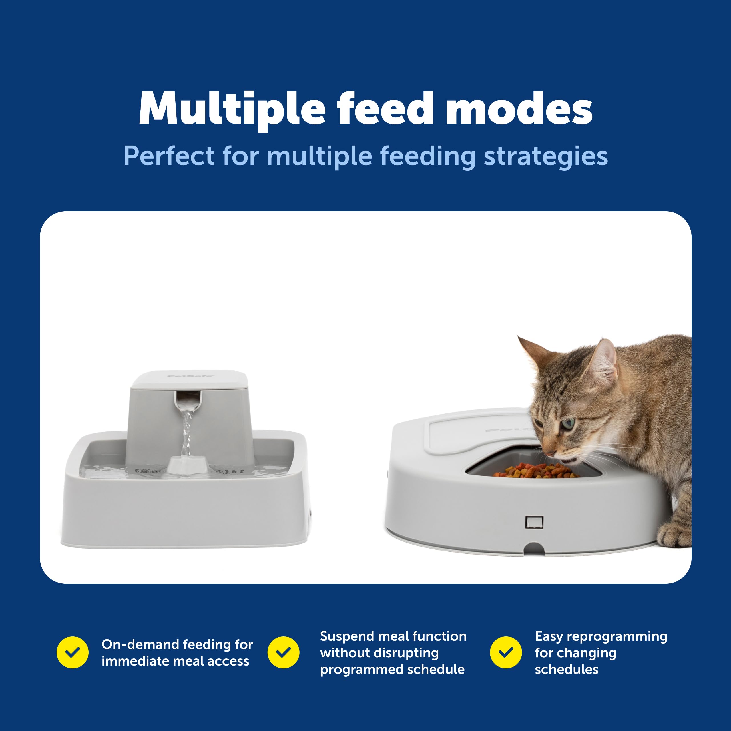 PetSafe feeder suited for multi-pet homes with organized portions